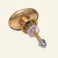  Drawer and Door Knobs - Brass Oval